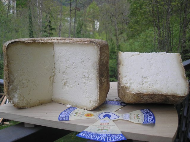 Formaggio Castelmagno