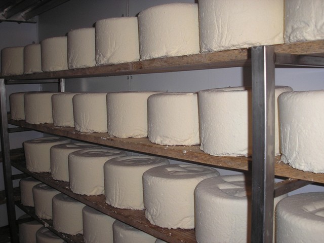 produzione