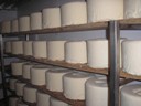 produzione
